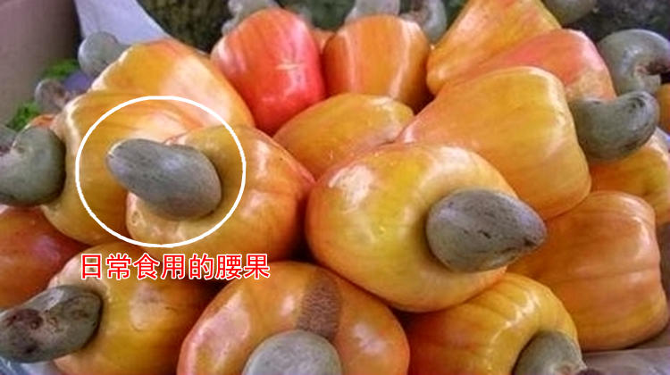 花样繁多营养又美味，腰果就该这么挑！(图3)