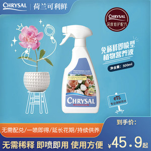 The Dutch imported cocoa fresh flower lock water lock water shop flower shop flowers preserved extended nutrient solution universal bottle spray