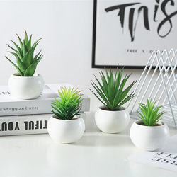 Nordic Artificial Green Plants, Succulent Small Potted Cactus, Home Decoration, Office Decoration, Fake Flowers, Succulent Ornaments