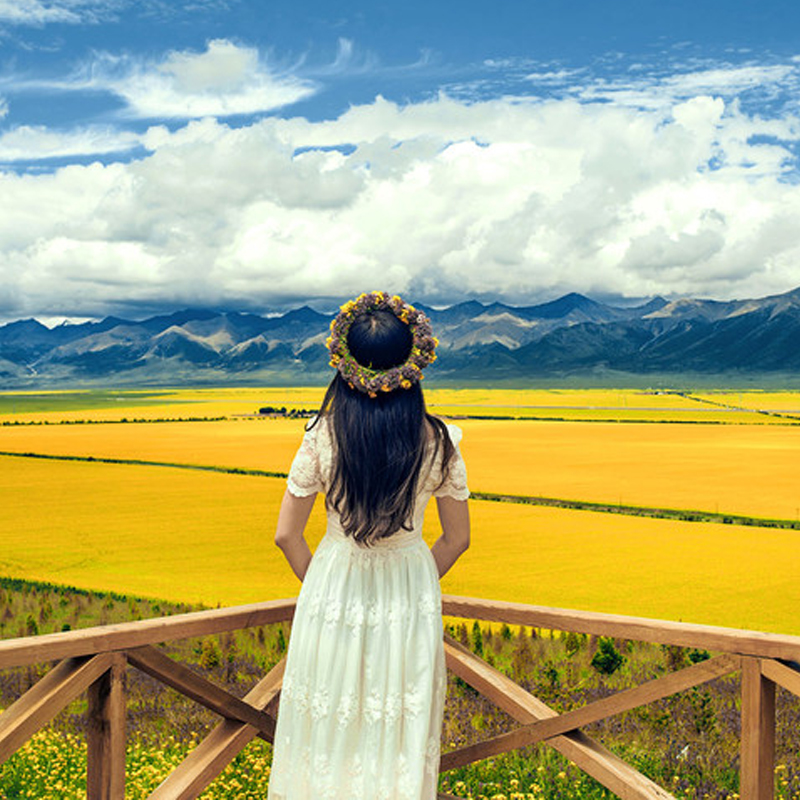 【青甘五日】纯玩西北青甘大环线5天4晚青海跟团旅游敦煌茶卡盐湖