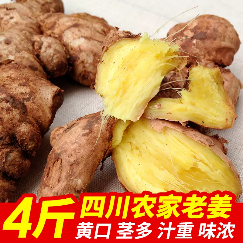 四川特产竹根姜4斤老生姜农家小黄姜老姜生姜月子土姜川姜种姜茶 Taobao