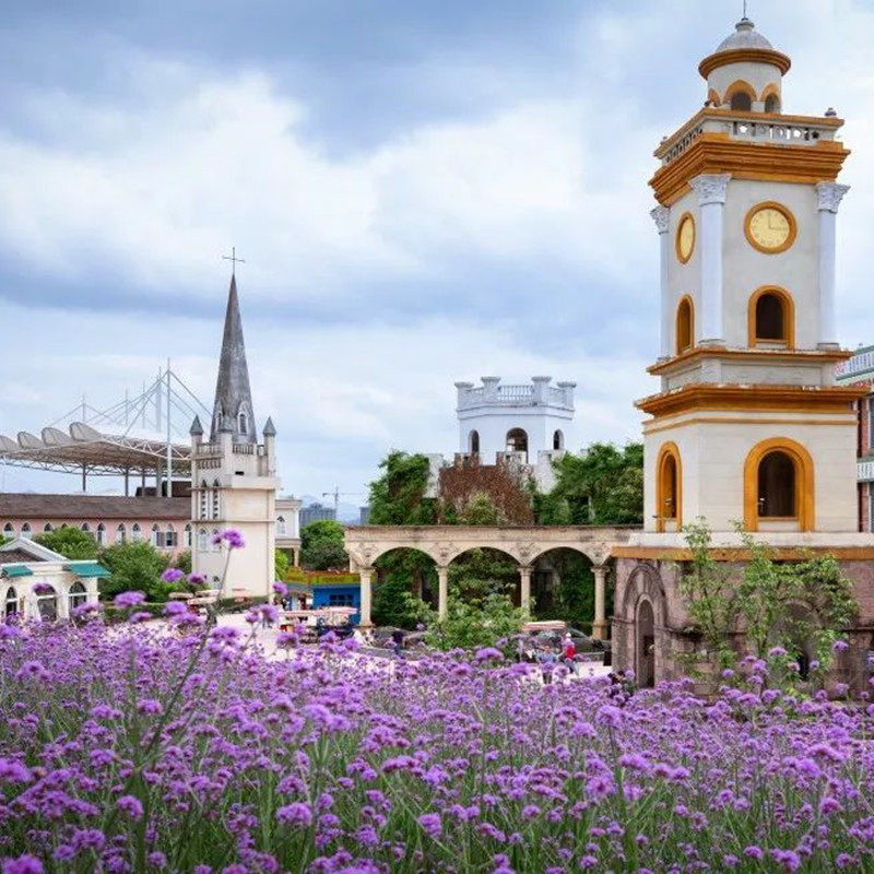 杭州出发,乌镇+横店2日纯玩游,赏西栅日夜全景,打卡横店秦王宫