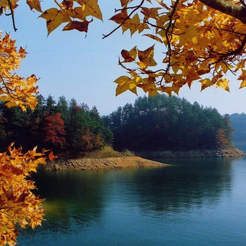 畅游江南【纯玩】杭州+千岛湖+苏州3日游 天堂苏杭 秀水千岛湖