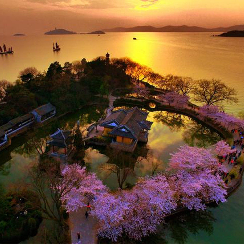 全天接站【游江南】南京+扬州+无锡鼋头渚+苏州拙政园+上海6日游