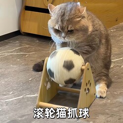 Vertical Rolling Ball Wooden Cat Scratching Board, Wear-Resistant and Non-Shedding, Cat Scratching Ball, Cat Toy, Wooden Cat Self-Entertainment and Boredom-Relief Gadget