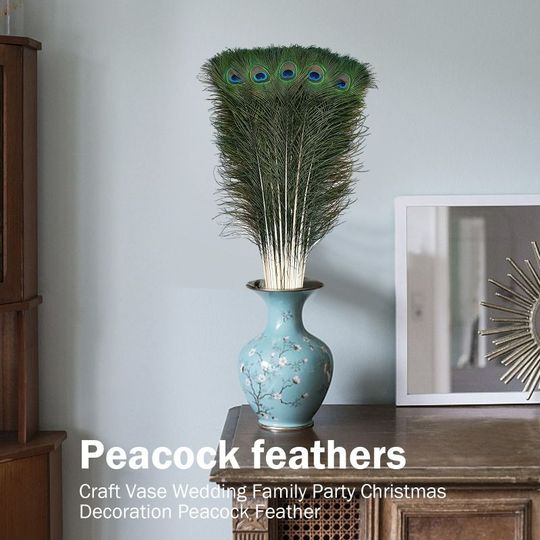 孔雀の羽の装飾品 - クラシックなリビングルームの装飾