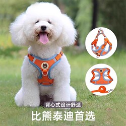 Vest-Style Dog Leash for Small Dogs, Teddy, Bichon Harness, Puppy Walking Leash, Dog Chain Collar