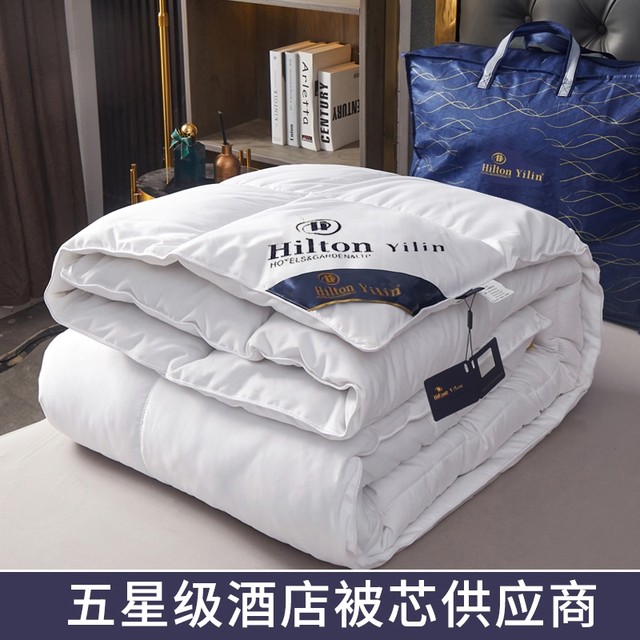 Five-star hotel feather velvet quilt thickened warm quilt in summer cool quilt in spring and autumn quilt in winter quilt universal fluffy in all seasons