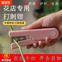 Flower Thorn Remover Pliers for Rose Pruning, Thorn Removal Tool, Bouquet Trimming Scissors, Floral Art Tools and Materials Clip