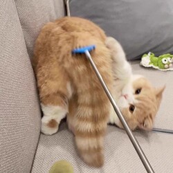 Internet-Famous Cat Toy with a Long, Extendable Rod for Scratching and Teasing Cats, Helps Expend Energy, Soothes, Massages, and Relieves Boredom, Cat Supplies