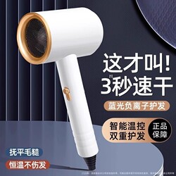 Hair Dryer for Dormitory Use, Student Home Use, Negative Ion Hair Care, Silent, Fast Drying, Strong Wind, 2025 Model