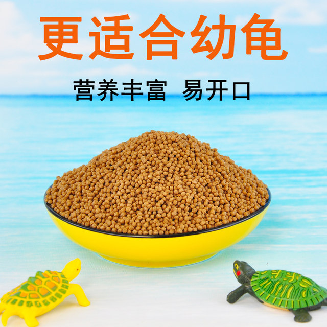 Low-Calorie Options For Live Hatchlings Feed photo