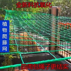 Gardening Plant Climbing Net, Climbing Trellis for Planting, Loofah, Passion Fruit, Beans, Vines, Flower Net, Agricultural Grape Trellis