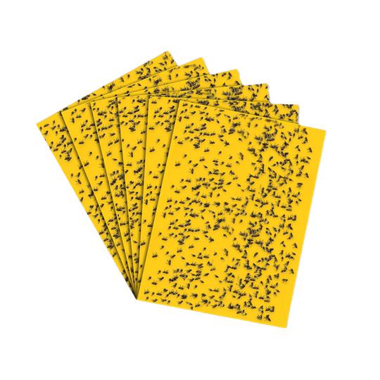 60 Paneles Amarillos + 30 Varillas – Trampas Adhesivas Para Insectos Voladores – Ecológicas Para Interior Y Exterior