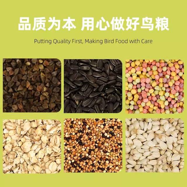 Bird Seed Husk Separator Machine - Small Grain Winnower For Millet, Parrot Food, Easy Cleaner - View #4