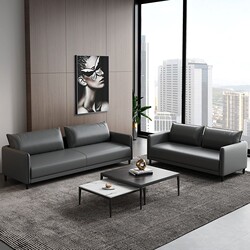 Office Sofa, Simple Business Coffee Table Set, Small Apartment Meeting and Reception Room, Modern Reception Area for Two or Three People