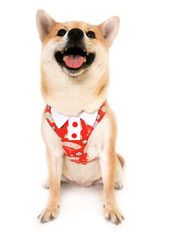 日式宠物牵引绳猫犬——胸背带遛狗绳