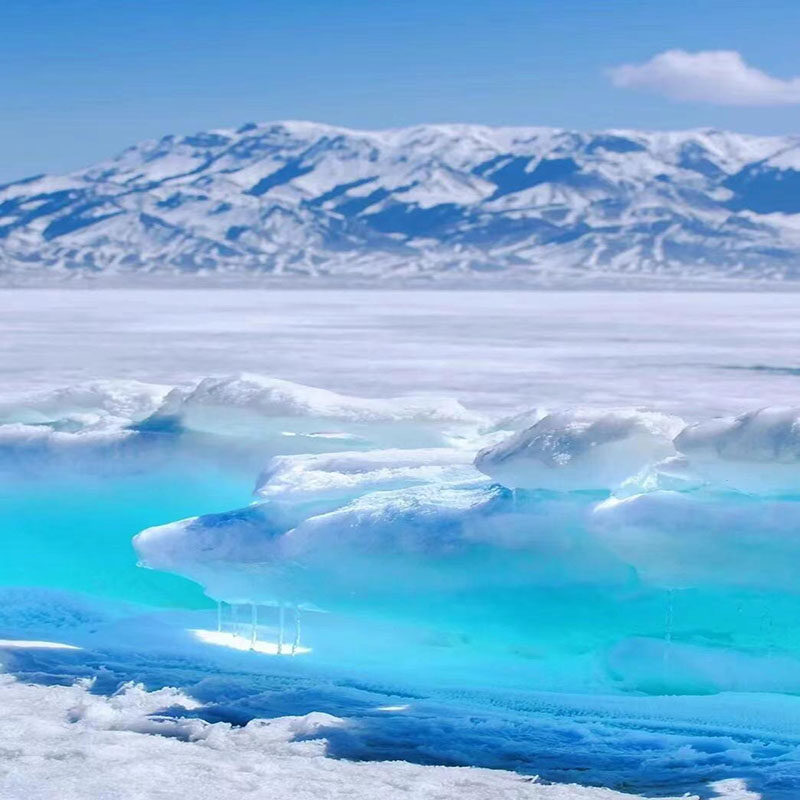 新疆旅游双湖集禾北疆喀纳斯禾木赛里木湖拼车7日含接送机大七座