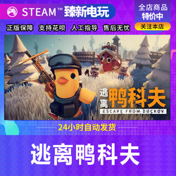 Steam Escape from Duckov China Region Friend Gift Activation Code Cdk