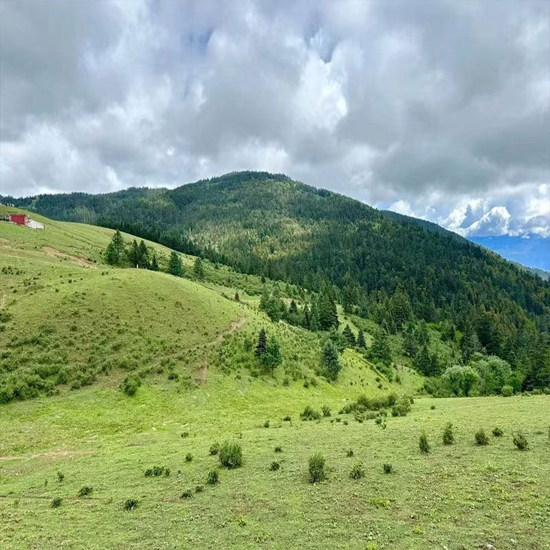 【商务车小团】丽江出发—玉龙雪山/三件套/蓝月谷纯玩一日游