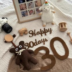 Baby Full-Month Photo Props, Newborn Home Photography Backdrop, Snake Baby Hundred-Day Baby Ceremony Decoration