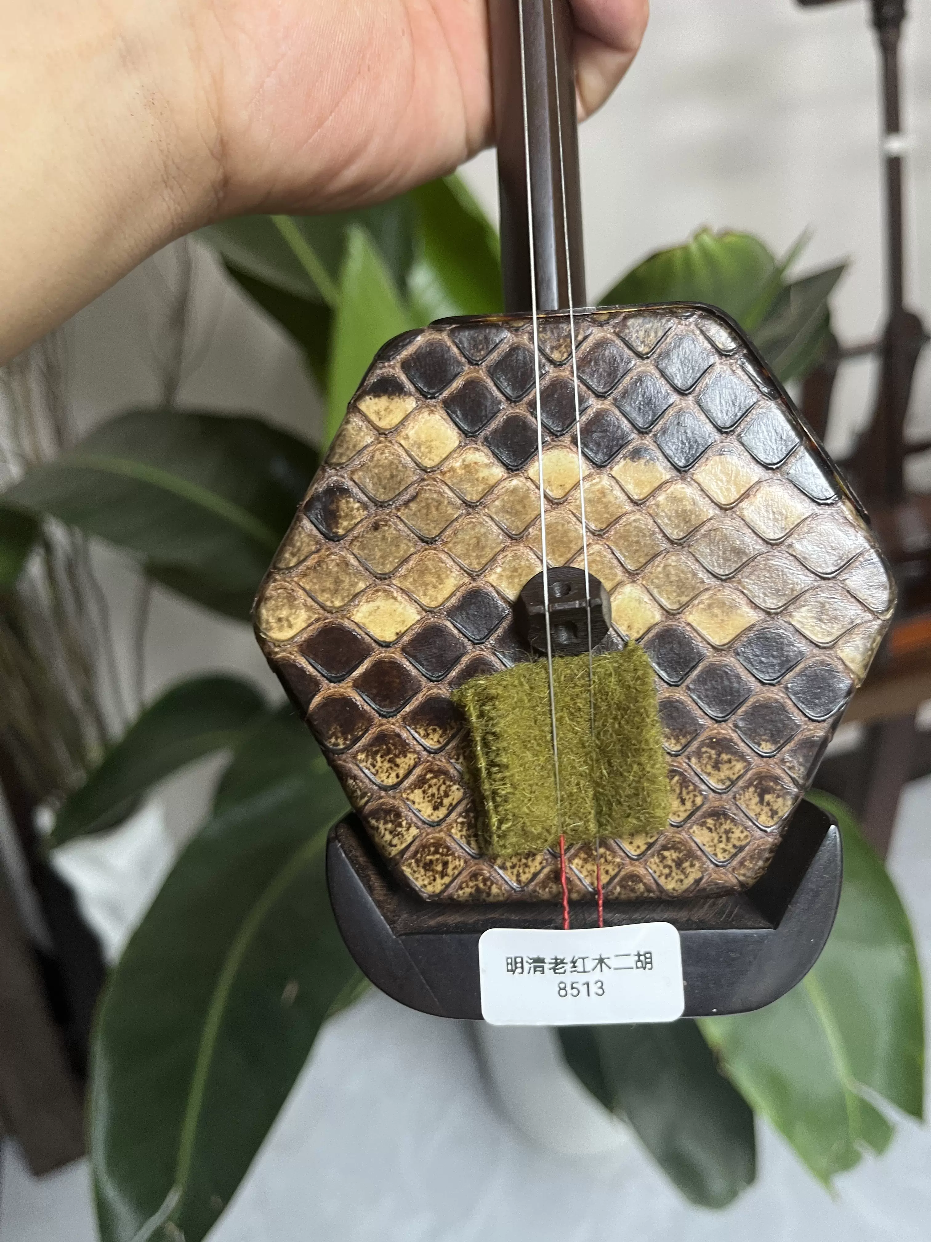 高級 蘇州二胡 蘇藝 紅木系 紫檀 老紅木 中級ー上級者 馬乾