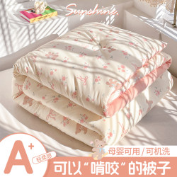 Quilt Core, Spring and Autumn Quilt, Suitable for All Seasons, Student Dormitory Single Thin Air-Conditioned Quilt, Children's Thickened Cotton Quilt, Winter Quilt