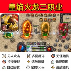 Royal Fire Dragon Three-Class Assistant Script Black Technology Box Legend Auto-Attack Software with Timer Function