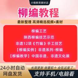 Wicker Weaving Tutorial, Traditional Handicraft Skills Video, a Complete Set of Materials from Beginner to Proficient Skills Training