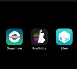 Dopamine Roothide Version of the Dopamine Tool for Online Jailbreak on Apple Phones and Tablets Without the Need for a Computer