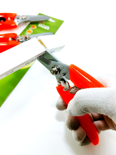 Maktab erotik video Shaffof libosda ichki kiyimsiz fotosurat