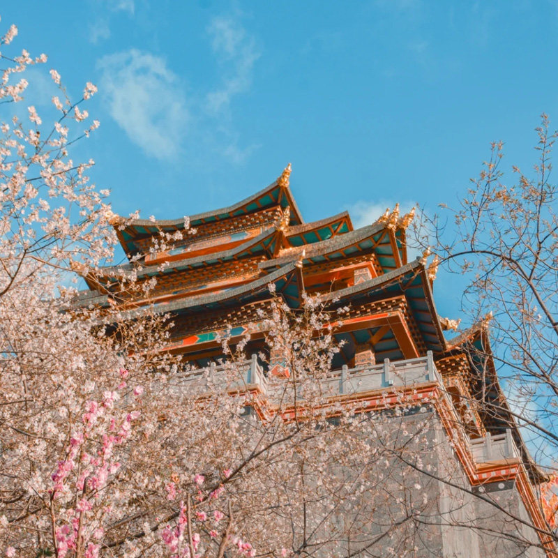 橙怡旅行贵州贵阳2-8人黄果树旅游跟团纯玩一日游爸妈亲子旅游