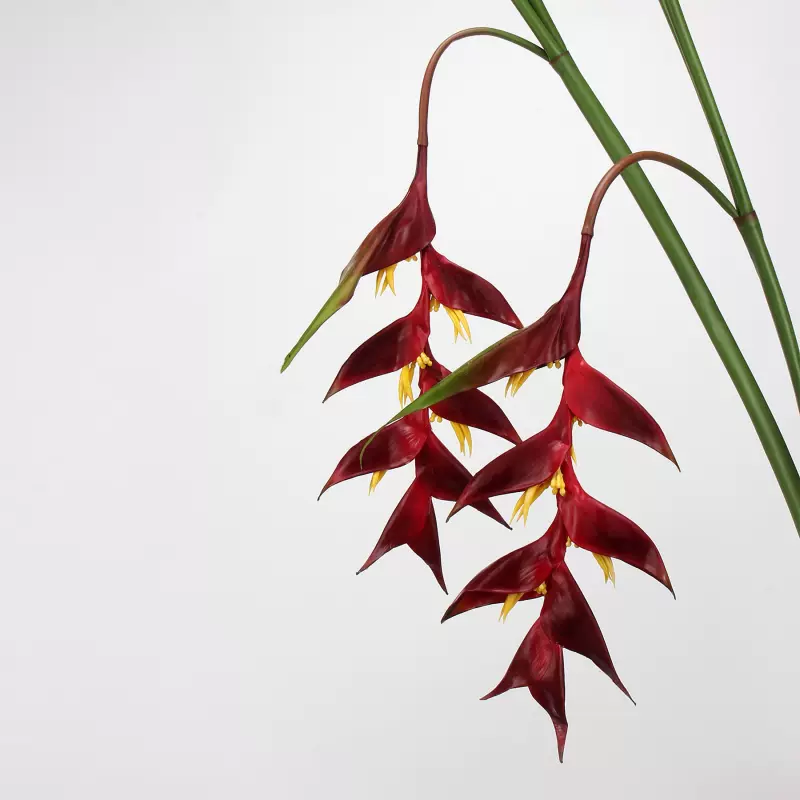 ビッグ割引 富貴蘭「 花 」 紅鶴 その他