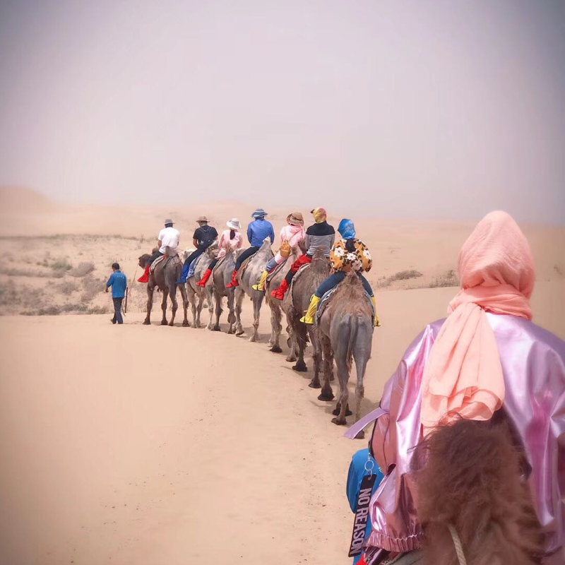 1家1团 库布齐沙漠一日游 纯玩 14公里疯狂越野 骑骆驼 滑索 滑沙