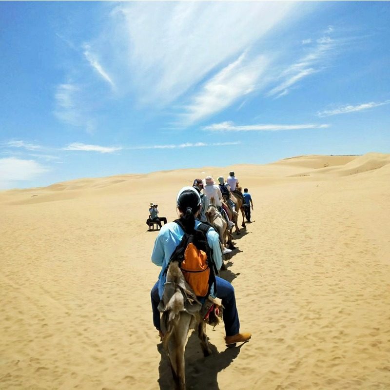 1家1团 库布齐沙漠一日游 纯玩 14公里疯狂越野 骑骆驼 滑索 滑沙