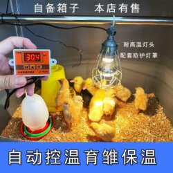 Chicken incubator automatic temperature control brooding box