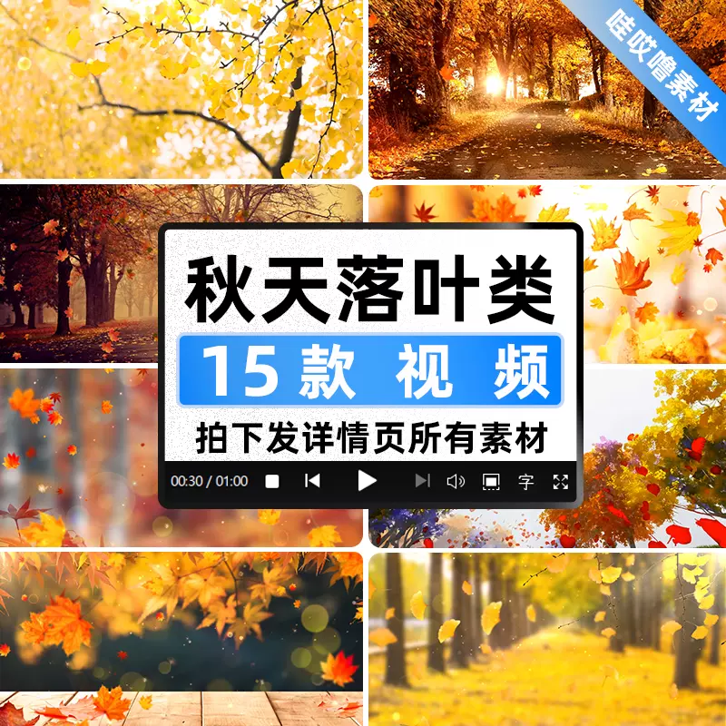 秋天楓葉樹林飄落紅葉落葉婚禮晚會舞臺led大屏幕背景影片素材