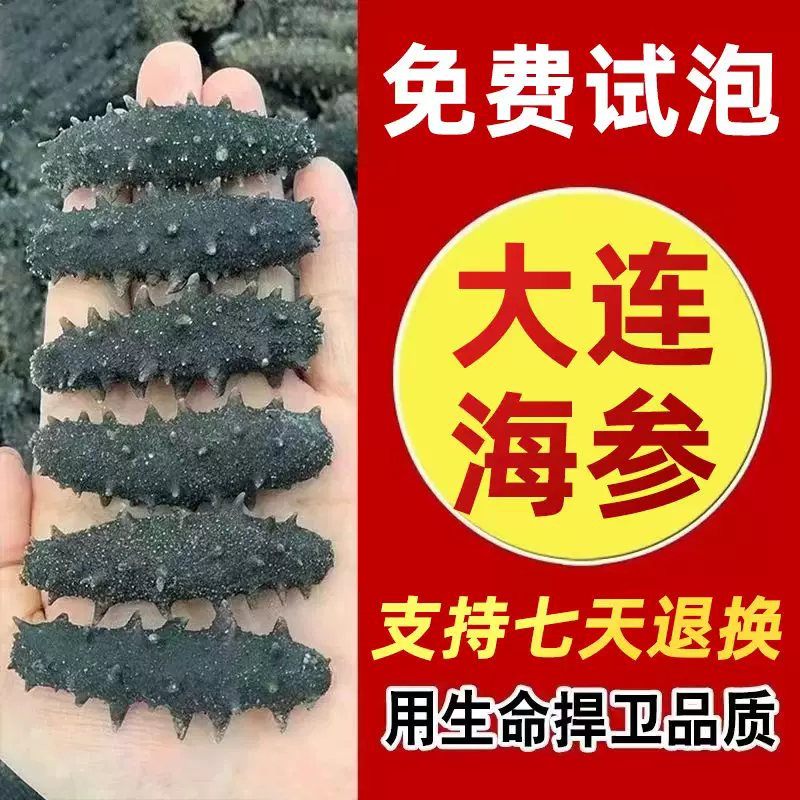 纯大连野生海参干货辽刺参淡干速发孕妇适用刺参50g