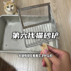 Cat Litter Scoop with Fine Holes, Stainless Steel Special Shovel for Cat Litter, Tofu Litter, Two-In-One Mineral Sand Large Litter Scoop Tool