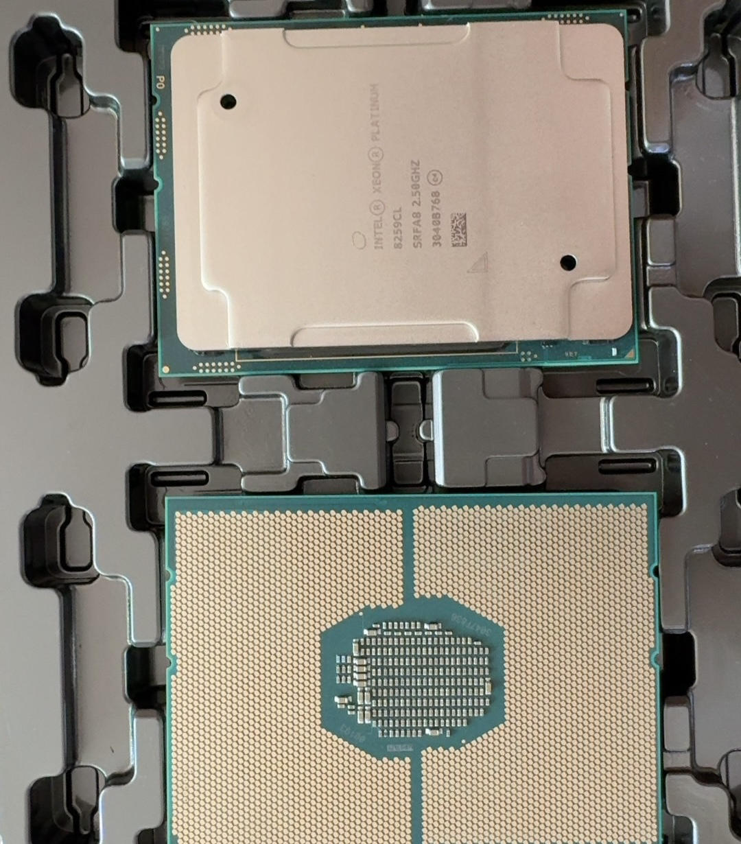 Intel/英特尔 Xeon志强 金牌 8259CL 正式版 服务器CPU-淘宝网