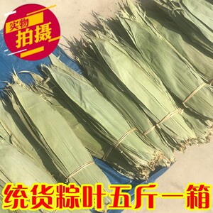 Wild dried cricket leafy leaves, bamboo rice dumplings fresh large brown leaf bulk 5*0.5kg free shipping commercial deep mountain picking loquat leaves
