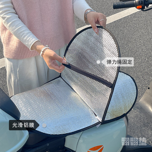 Results For Seat Cushion Cover For Electric Vehicles