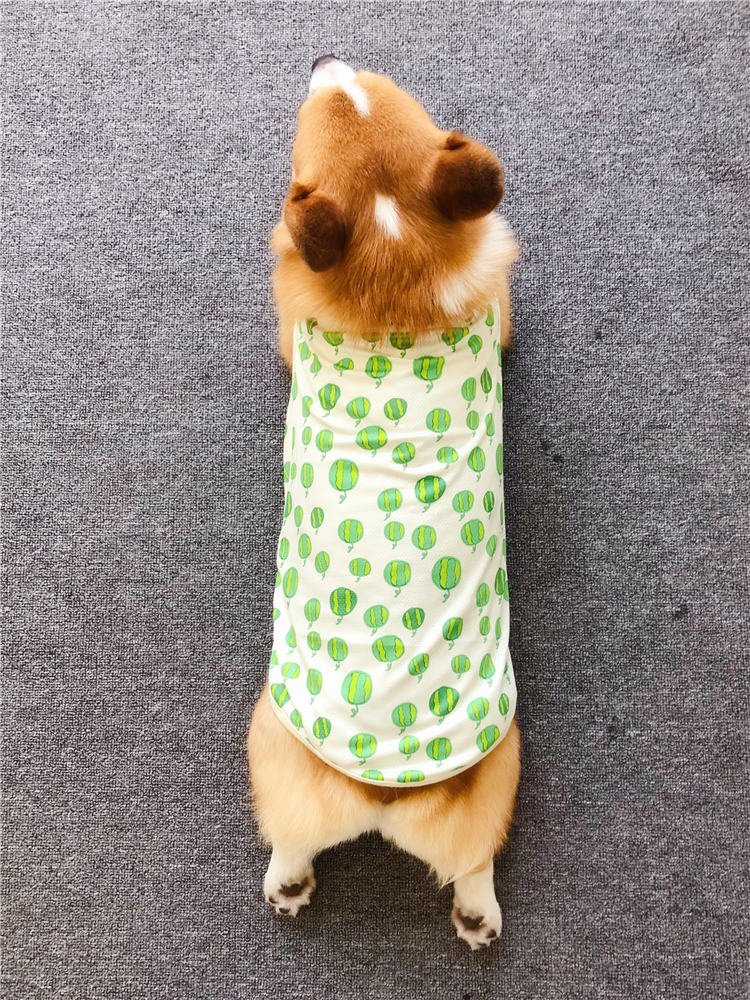 狗狗衣服夏装夏天薄款小型犬