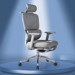 Computer Chair, Comfortable for Long Sitting, Home Office Chair, Adjustable Height, Reclining Backrest, Gaming Study Chair, Ergonomic Chair