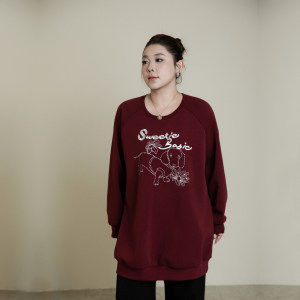 小狗刺绣大码卫衣女2025秋冬新款加肥加大胖mm宽松中长款套头上衣