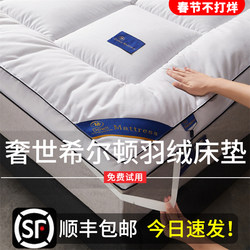 Luxurious Hilton down Mattress Soft Cushion Five-Star Hotel Mattress Home Bedroom Mat Student Dormitory Mattress Quilt