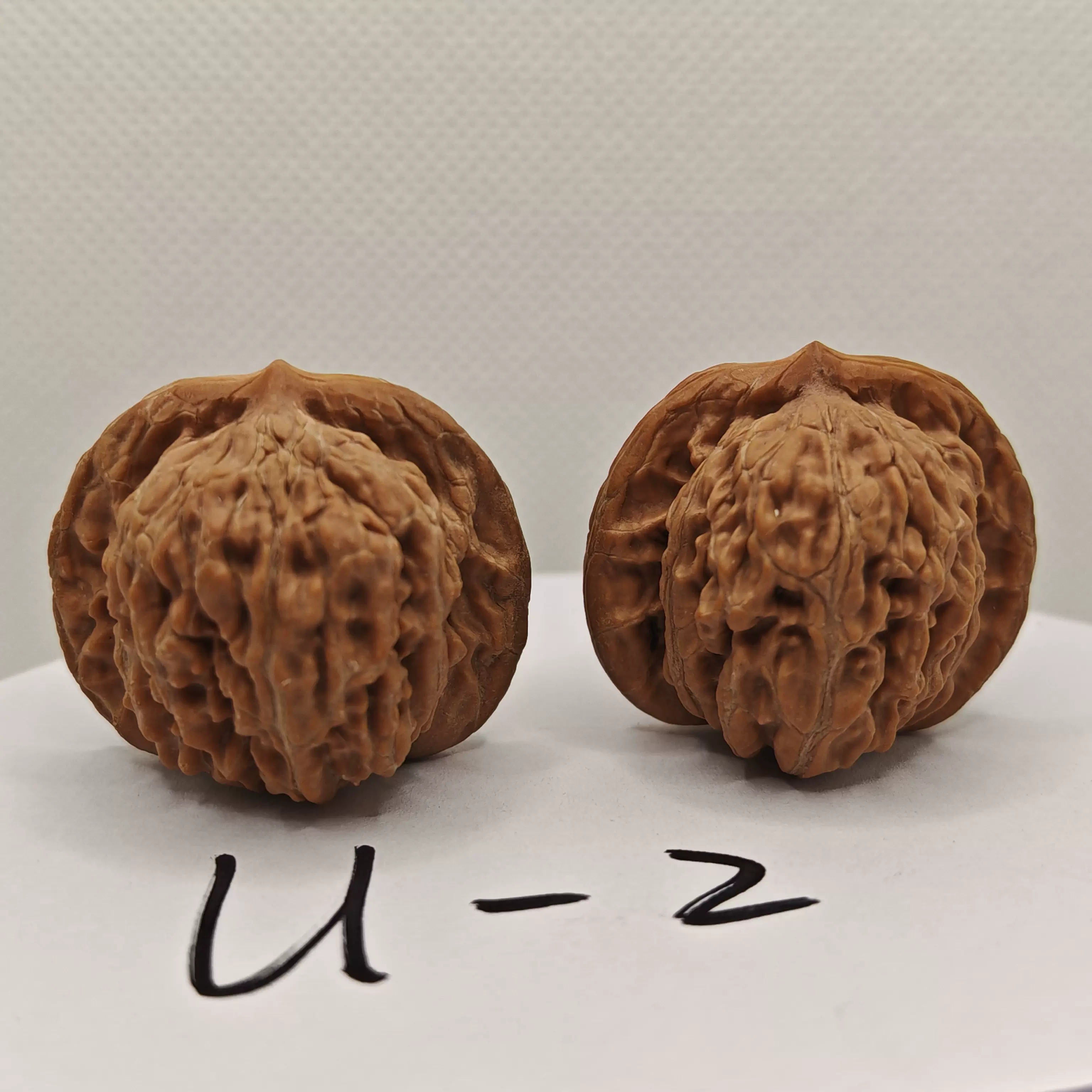 文玩精品野生核桃岐山三棱蟠龙纹三棱苹果园三棱自然桩型人丁正奔