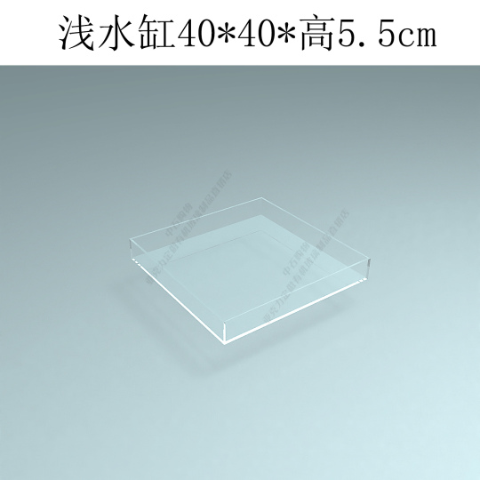 Zhongshi アクリル水槽 - 水中写真用大型オープンタンク