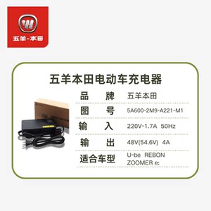 
Electric car charger U-be original charger 48V original flat head lithium battery charger