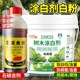 Dilution-free whitening agent for fruit trees, lime-sulfur mixture pesticide, anti-insect and anti-freeze gardening garden trees universal garden clearing